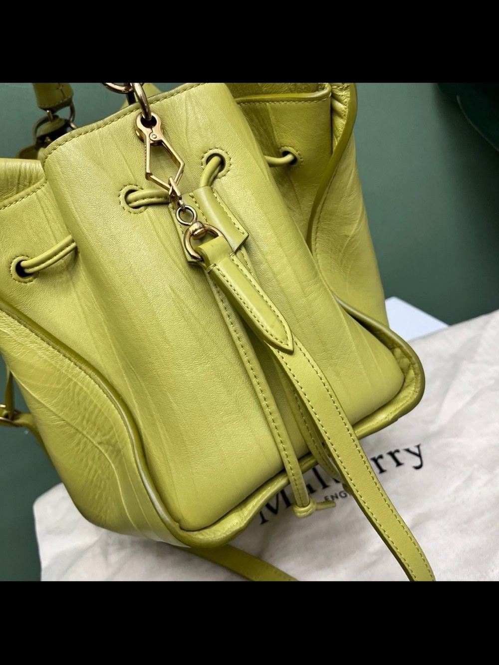 Mulberry Braided-Handle Shoulder Bag in Lime Green - Picture 15 of 16